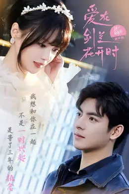 爱在剑兰花开时