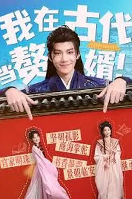 我在古代当赘婿