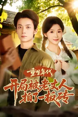 重生年代开局被老丈人拍了一板砖