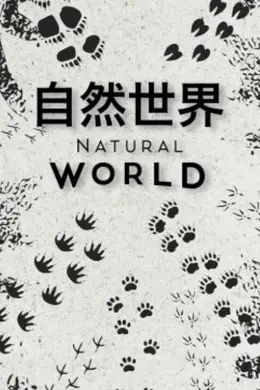 自然世界第一季