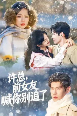 许总，前女友喊你别追了