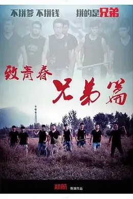 致青春 兄弟篇