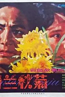 春兰秋菊