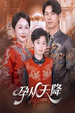 孕从天降海报