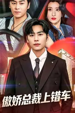 傲娇总裁上错车