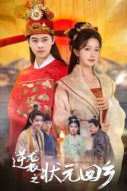 逆袭之状元回乡