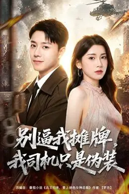 别逼我摊牌，我司机只是伪装