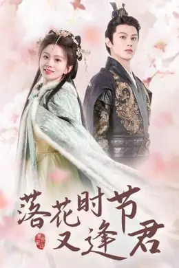 落花时节又逢君短剧