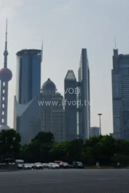 一游记深度游上海，带你看最真实的上海