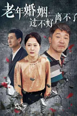 老年婚姻过不好离不了海报