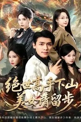 绝世高手下山,美女请留步海报