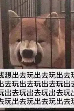 官宣开撕,爽子这回真复出了?