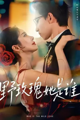 野玫瑰她是谁
