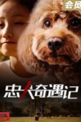 忠犬奇遇记