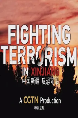 中国新疆反恐前沿