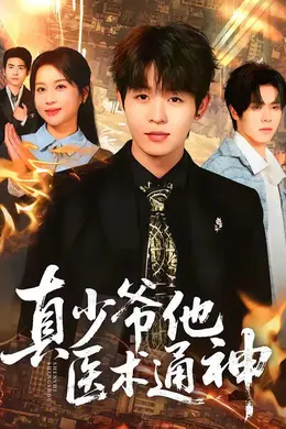 真少爷他医术通神