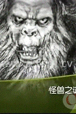 大&amp;#039;&amp;#039;真探&amp;#039;&amp;#039;怪兽之谜