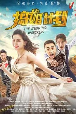 捣婚计划