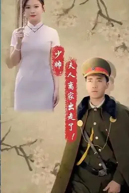 少帅，夫人离家出走了