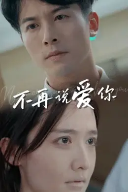 不再说爱你海报