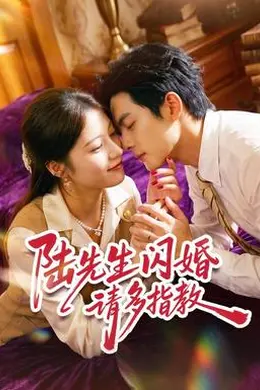 陆先生闪婚请多指教