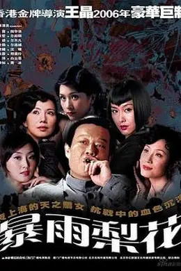 暴雨梨花