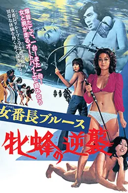 女番长布鲁斯：雌蜂的逆袭