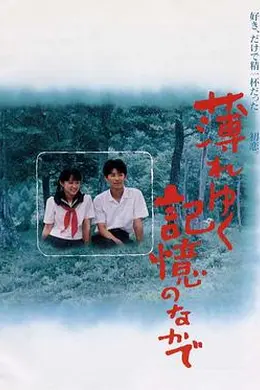 渐渐淡薄的记忆