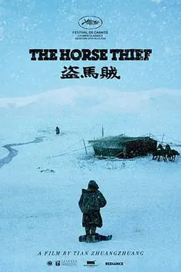 盗马贼