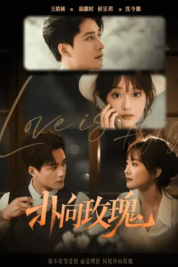 扑向玫瑰