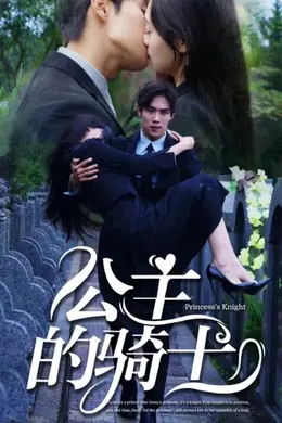 公主的骑士