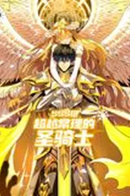 SSS级超越常理的圣骑士