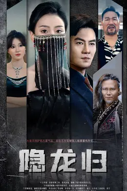 隐龙归海报
