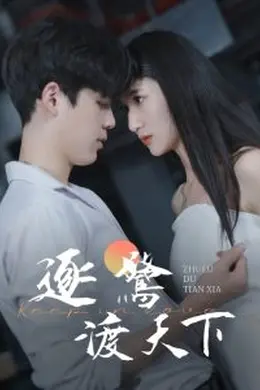 逐鹭渡天下