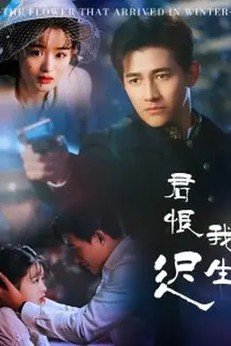 君恨我生迟
