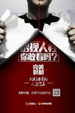 完美假期