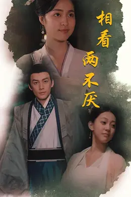 相看两不厌这个王妃不好惹