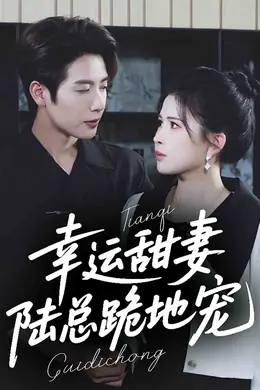 幸运甜妻，陆总跪地宠