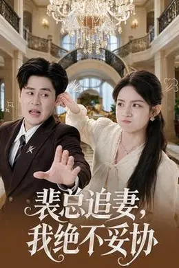 裴总追妻，我绝不妥协