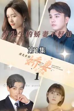 傅先生的娇妻不好追