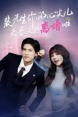 裴先生你的心尖儿老婆又想离婚啦，裴先生的复婚攻略