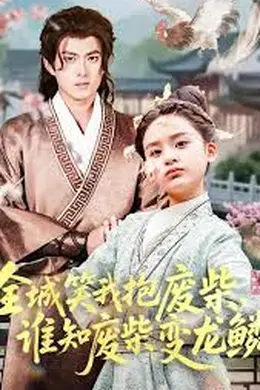 全城笑我抱废柴谁知废柴变龙鳞