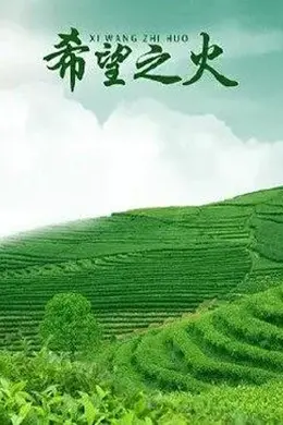 西游超级粉