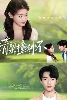 清梨撞满怀