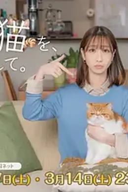 我收留了前男友的猫