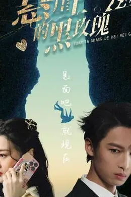 悬崖上的黑玫瑰101集