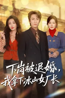 下岗被退婚，我拿下冰山女厂长