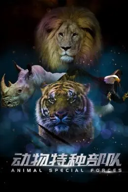 动物特种部队 第二季