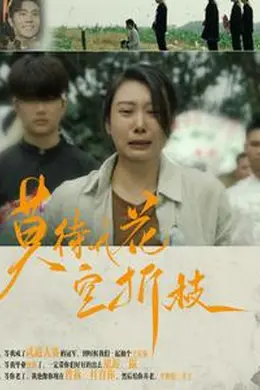 莫待无花空折枝海报