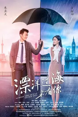 漂洋过海来看你未删减版